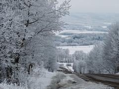 Winter in all her beauty