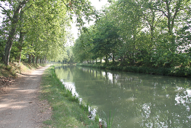 Canal du Midi près de Courgasse