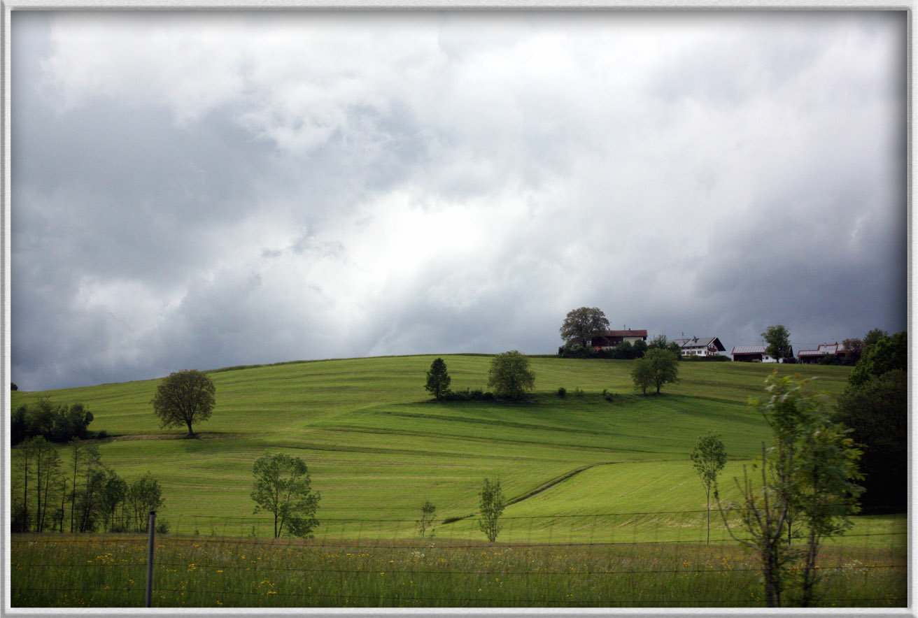 Grüne Landschaft