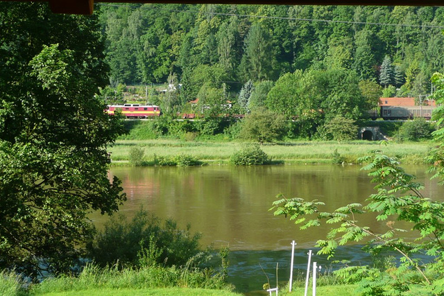 Blick auf die Elbe - 05.06. 2010