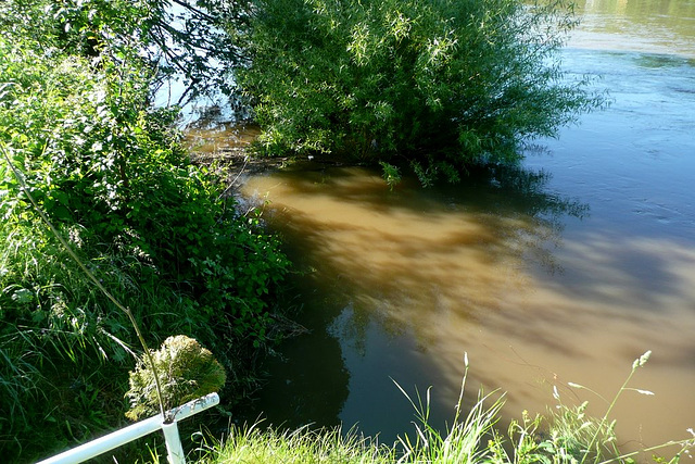 Blick auf die Elbe - 05.06. 2010