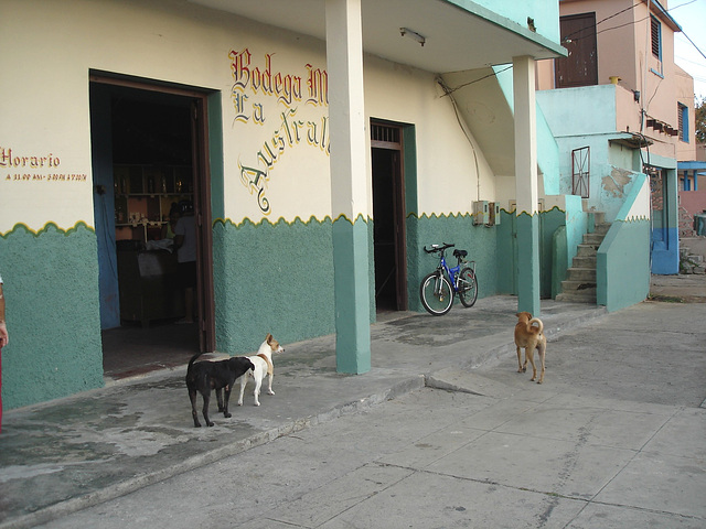 Bodega M....la Austral.......wouf ! wouf !  wouf !   Varadero, CUBA.  6 Février 2010