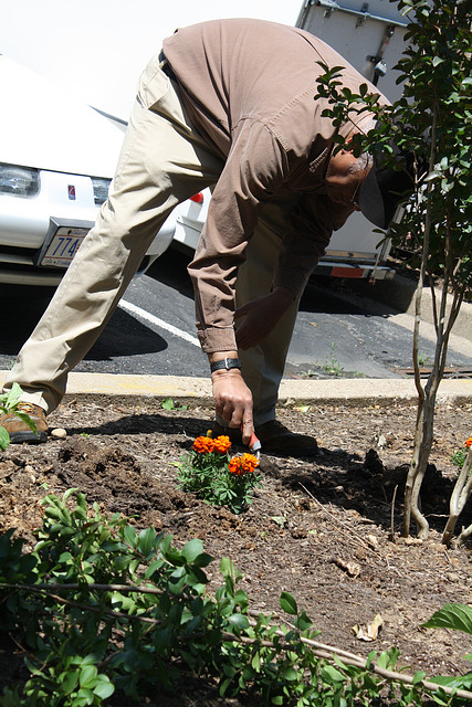 26.ArborDayPlanting.RiverPark.SW.WDC.15May2010