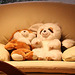 20091114 1125Aw [D~LIP] Panda-Bär und Hase, Bad Salzuflen