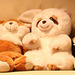 20091114 1126Aw [D~LIP] Panda-Bär und Hase, Bad Salzuflen