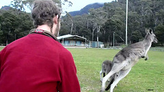 Théo & the kangaroos, part deux