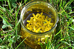 Johanniskraut-Öl - St. John's wort - Oil (2)