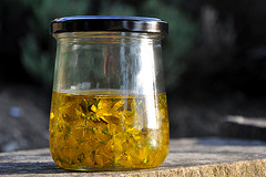 Johanniskraut-Öl - St. John's wort - Oil (5)