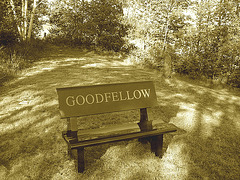 Vieux cimetière / Old cemetery -  Arundel, Québec - CANADA. 23-05-2010- Sepia