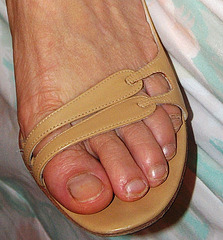 Ann Taylor sandals