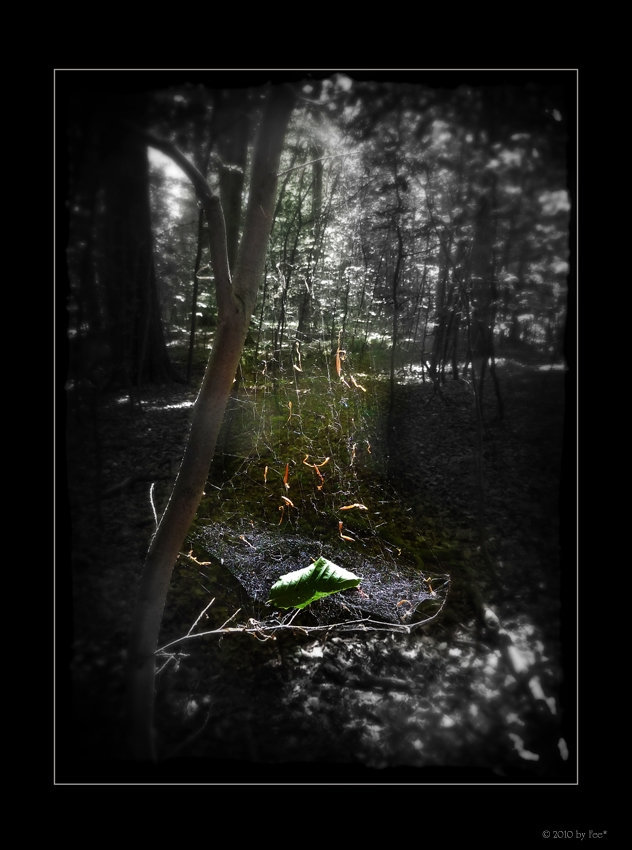 caught in the light