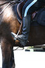 21.USPP.Horseback.NationalMall.WDC.3July2010