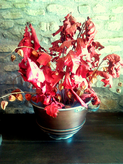 Centro de otoño.