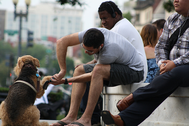 30.DupontCircle.WDC.21May2010