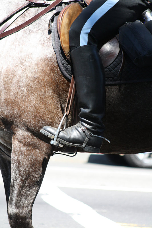 25.USPP.Horseback.NationalMall.WDC.3July2010