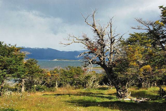 Harberton, Beagle Channel