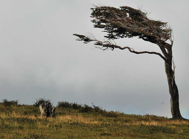 Wind sculpted