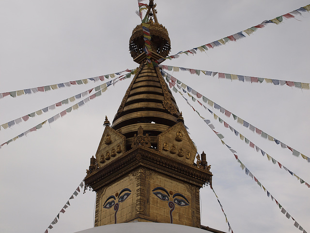 Wiesent: Der Nepal-Himalaya Pavillon