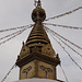 Wiesent: Der Nepal-Himalaya Pavillon