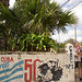 Clôture électrique et palmier / Electric fence and palm tree