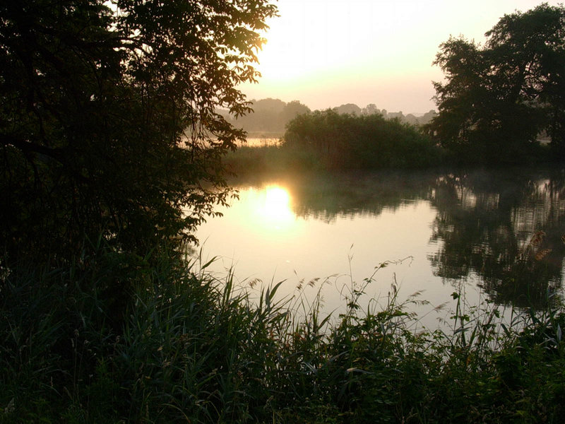 Morgenimpression