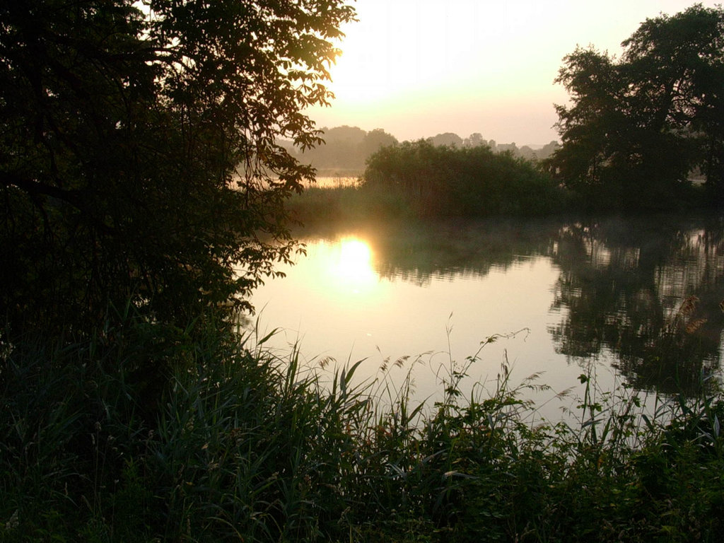 Morgenimpression