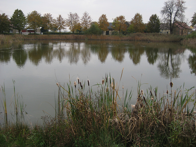 Dorfteich Wahlsdorf