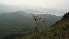 Landscape of Sai Kung