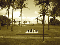 Échec et Dames  /  Chess & Checkers - Varadero, CUBA.  Février 2010 - Sepia