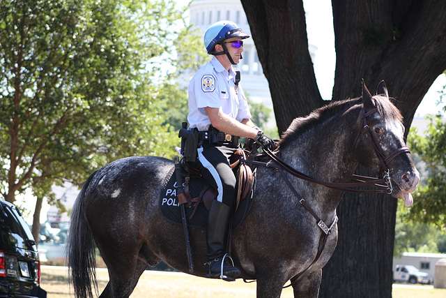 39.USPP.Horseback.NationalMall.WDC.3July2010