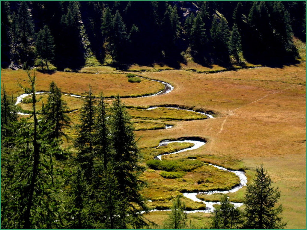 Proche du lac d'Allos