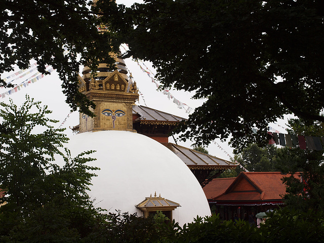 Wiesent: Der Nepal-Himalaya Pavillon