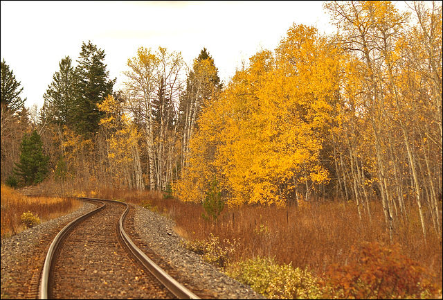 South of Williams Lake, BC