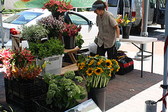 06.FreshFarmMarket.CrystalCity.VA.8June2010