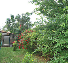 la cabane au fond du jardin :))