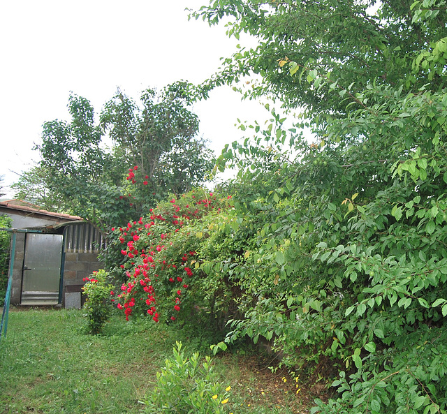 la cabane au fond du jardin :))