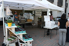 07.FreshFarmMarket.CrystalCity.VA.8June2010