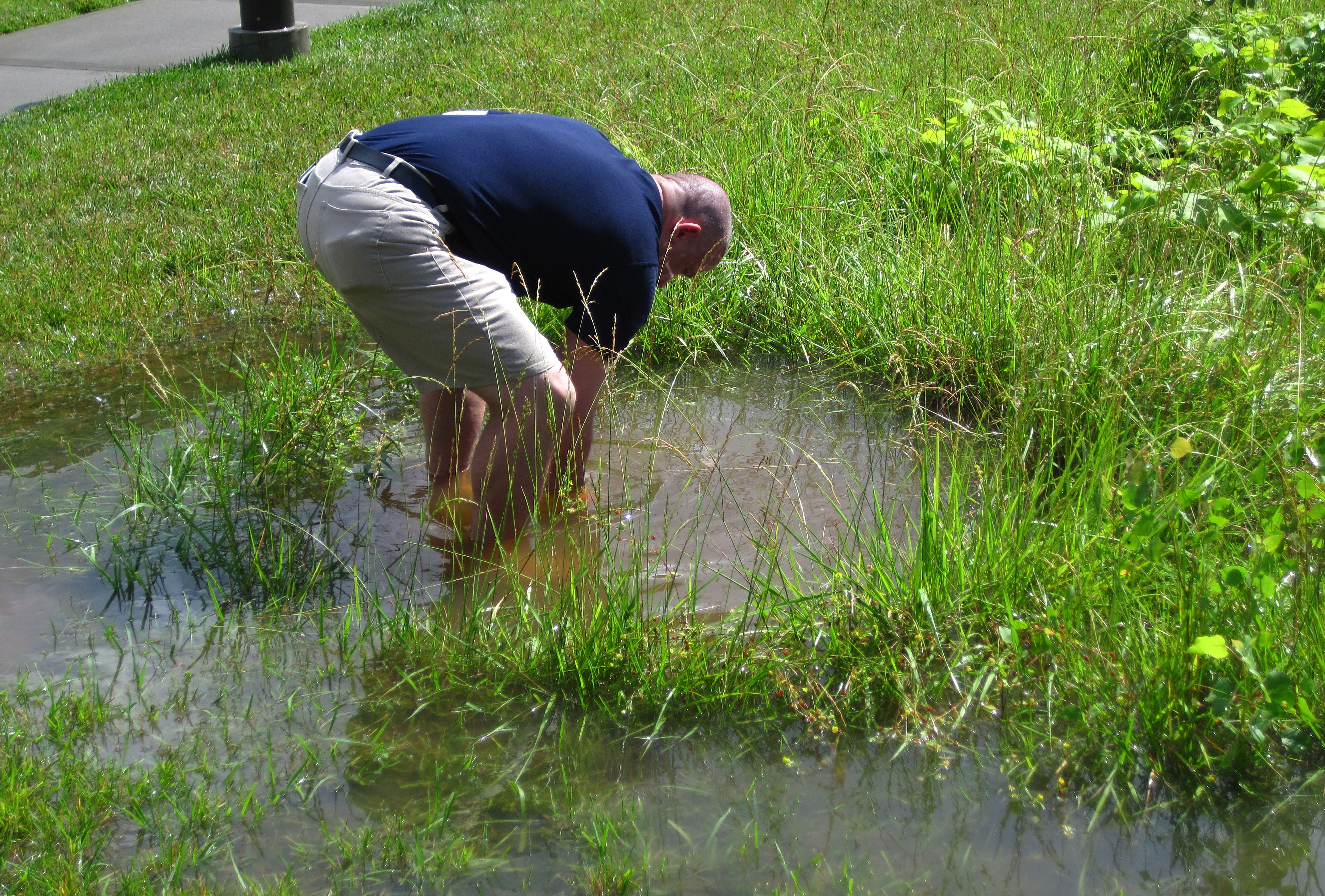 Johnny Cleaning Drain (0818)
