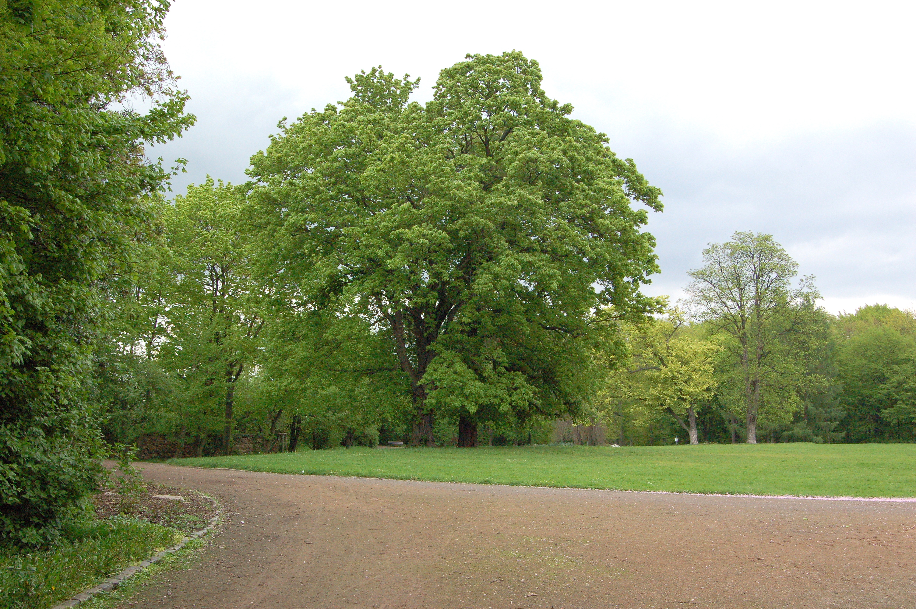 parkpromenejo