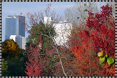 La defense de Boulogne