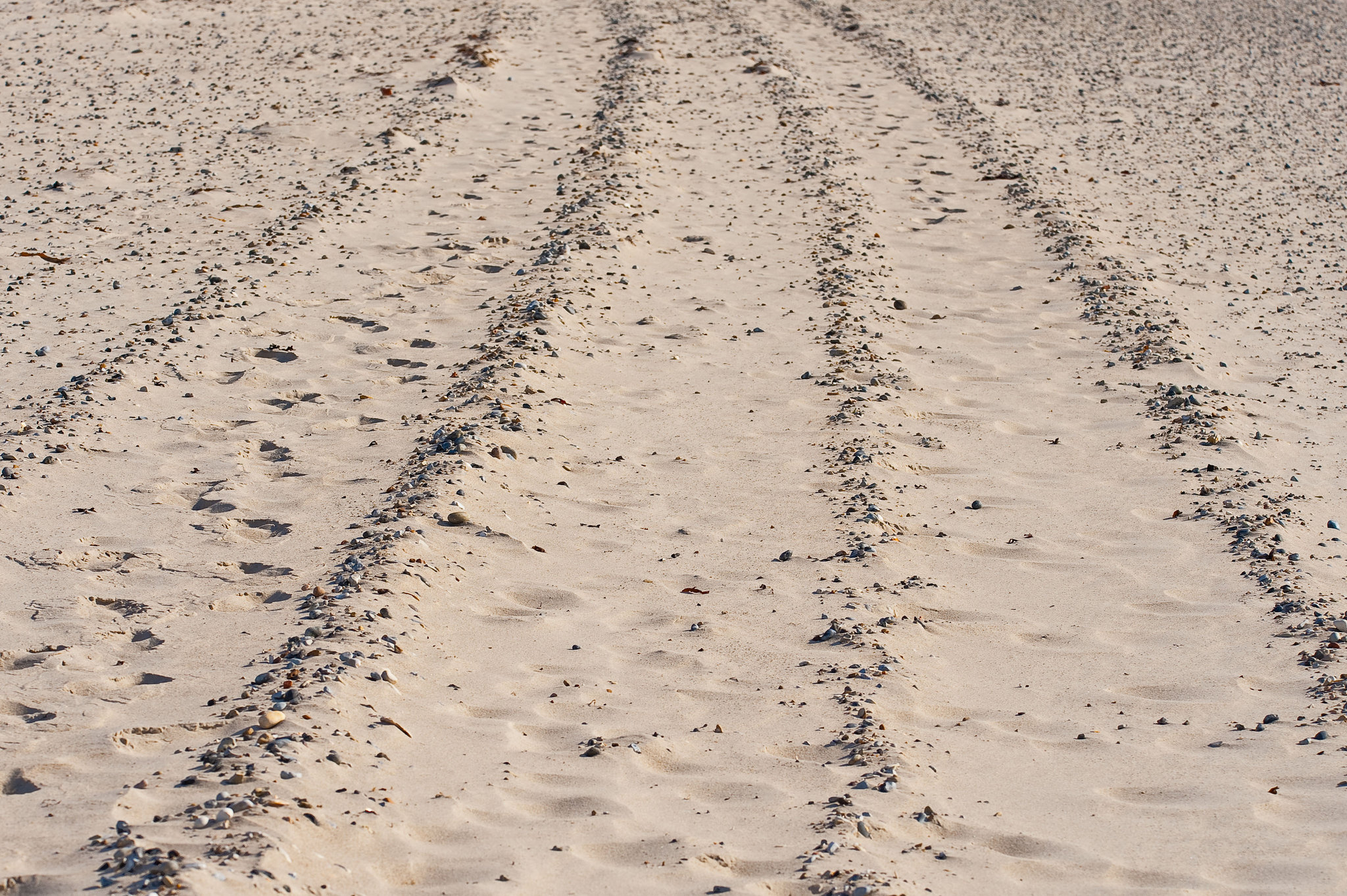Tracks