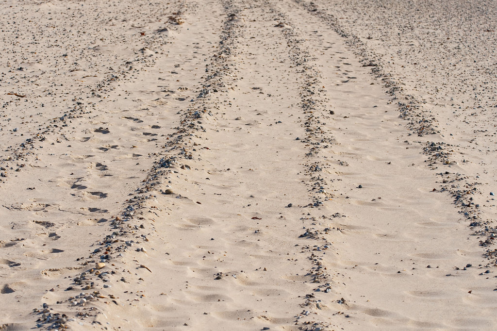 Tracks