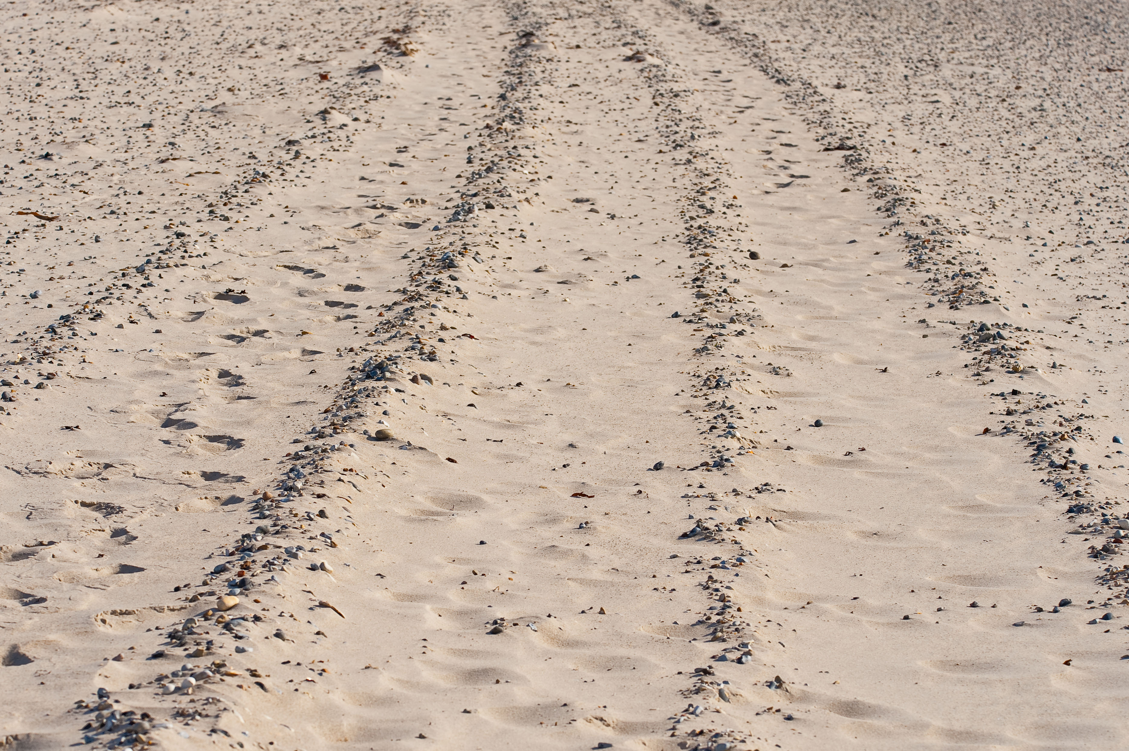 Tracks