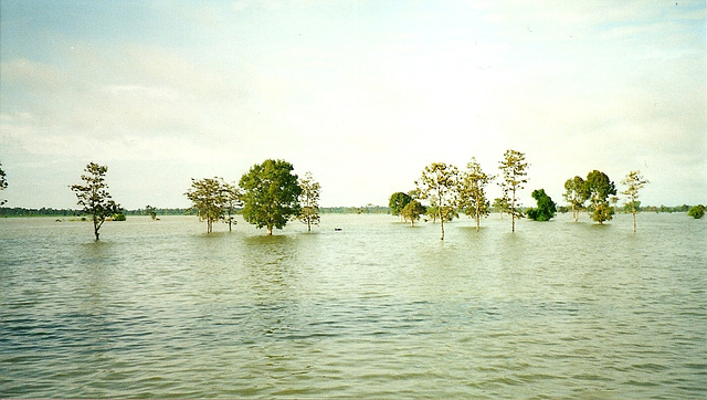 Thailand - Überschwemmung