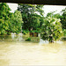 Thailand - Überschwemmung