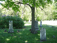 Cimetière de Gouverneur cemetery  / NY. USA / États-unis.   16 mai 2010