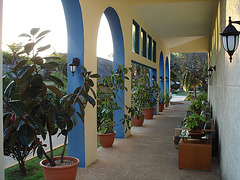 Hotel villa Tortuga / Varadero, CUBA - 4 février 2010