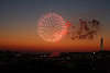 43.Fireworks.DinnerParty.TiberIsland.SW.WDC.4July2010