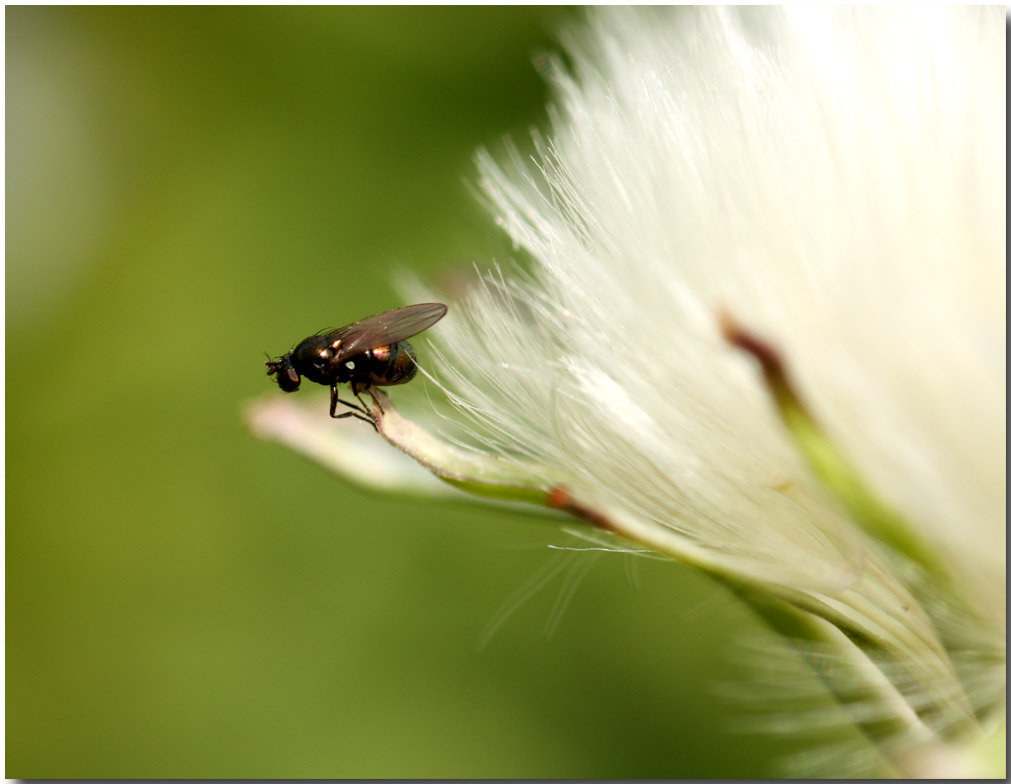 ...bereit zum Abflug...