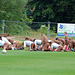 St. Pauli 1. Training 10-11  074